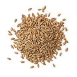 Epeautre BIO