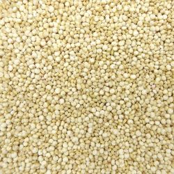 Quinoa blanc BIO