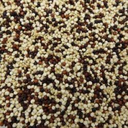 Quinoa trio BIO