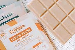 lessive solide échoppe
