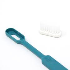 tête interchangeable brosse à dents adulte Caliquo