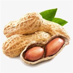 arachides coques