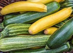 courgettes vertes et jaunes