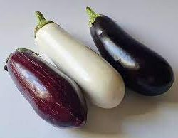 Aubergine noire blanche ou grafitti