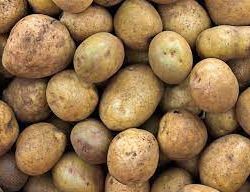 pommes de terre