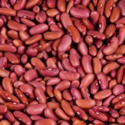 Haricots rouges BIO