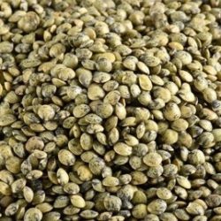 Lentilles  vertes