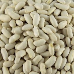 Mogettes Vendée BIO