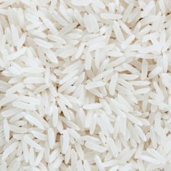 Riz long blanc de Camargue IGP BIO