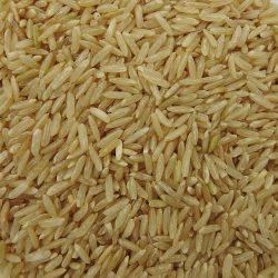 Riz long complet BIO