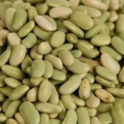 Flageolets verts BIO